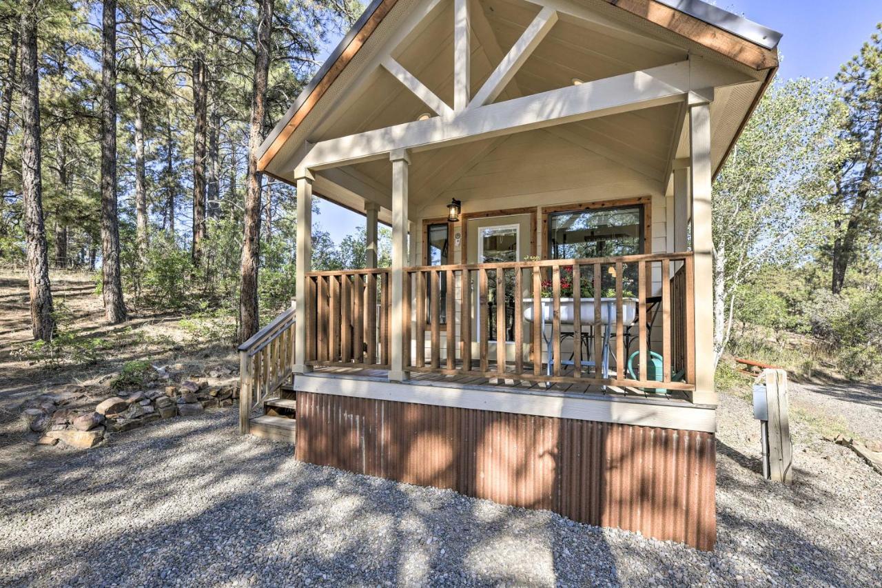 Roomy Pagosa Springs Tiny Cabin 1 Mi To Downtown מראה חיצוני תמונה