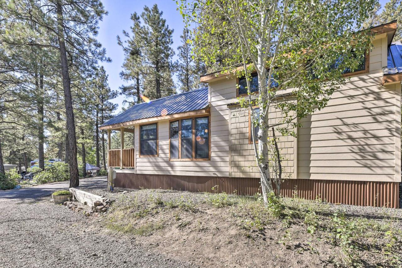 Roomy Pagosa Springs Tiny Cabin 1 Mi To Downtown מראה חיצוני תמונה
